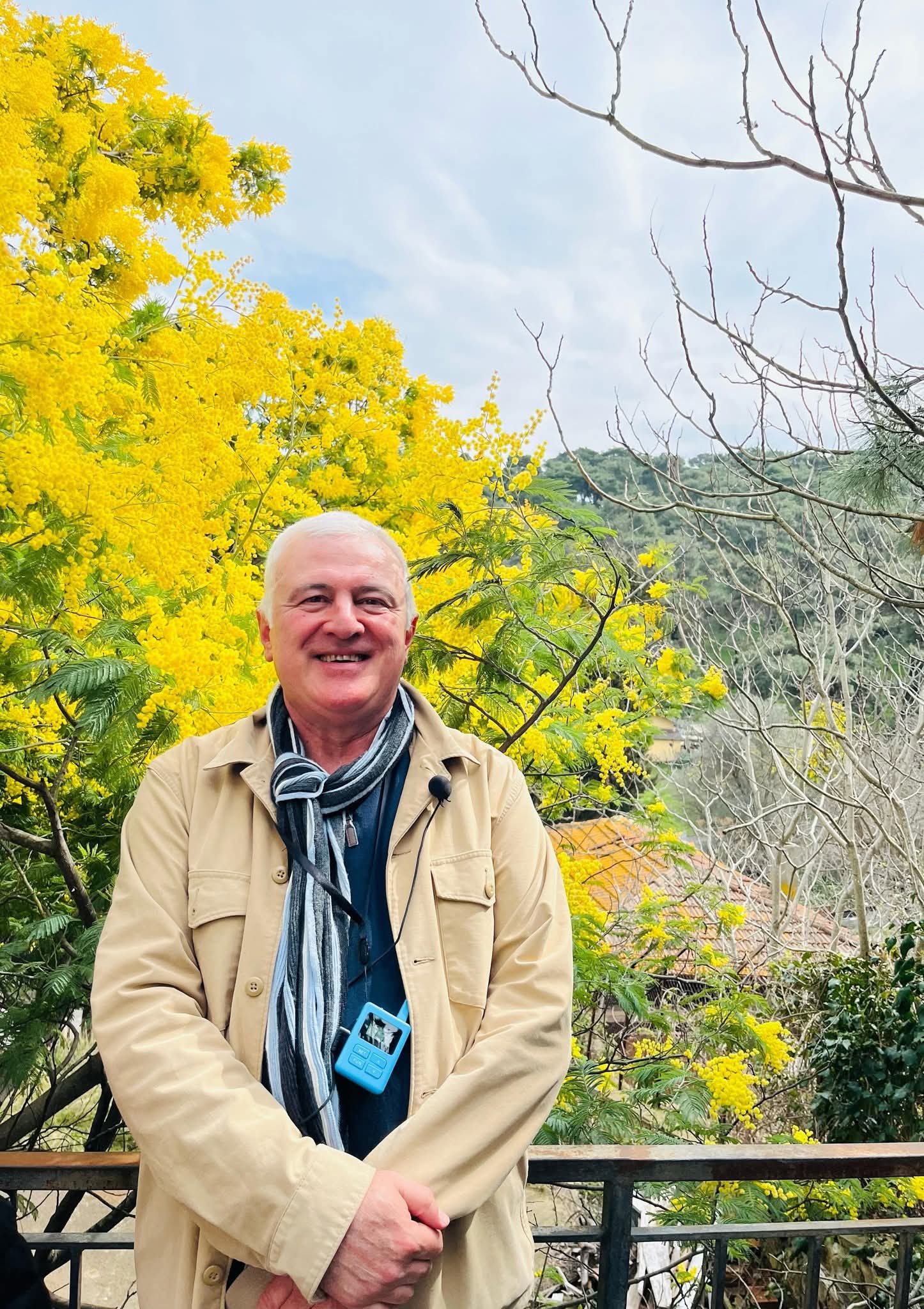 BÜYÜKADA-PRİNKİPO- MİMOZALAR AÇMIŞKEN