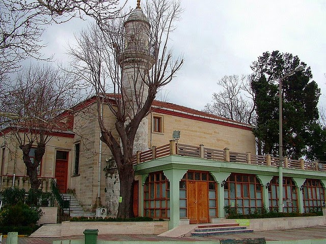BOĞAZ'IN MUHAFIZLARI YALILARI KAVAKLARI